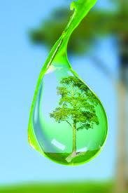 543016_405503982826617_1644436019_n